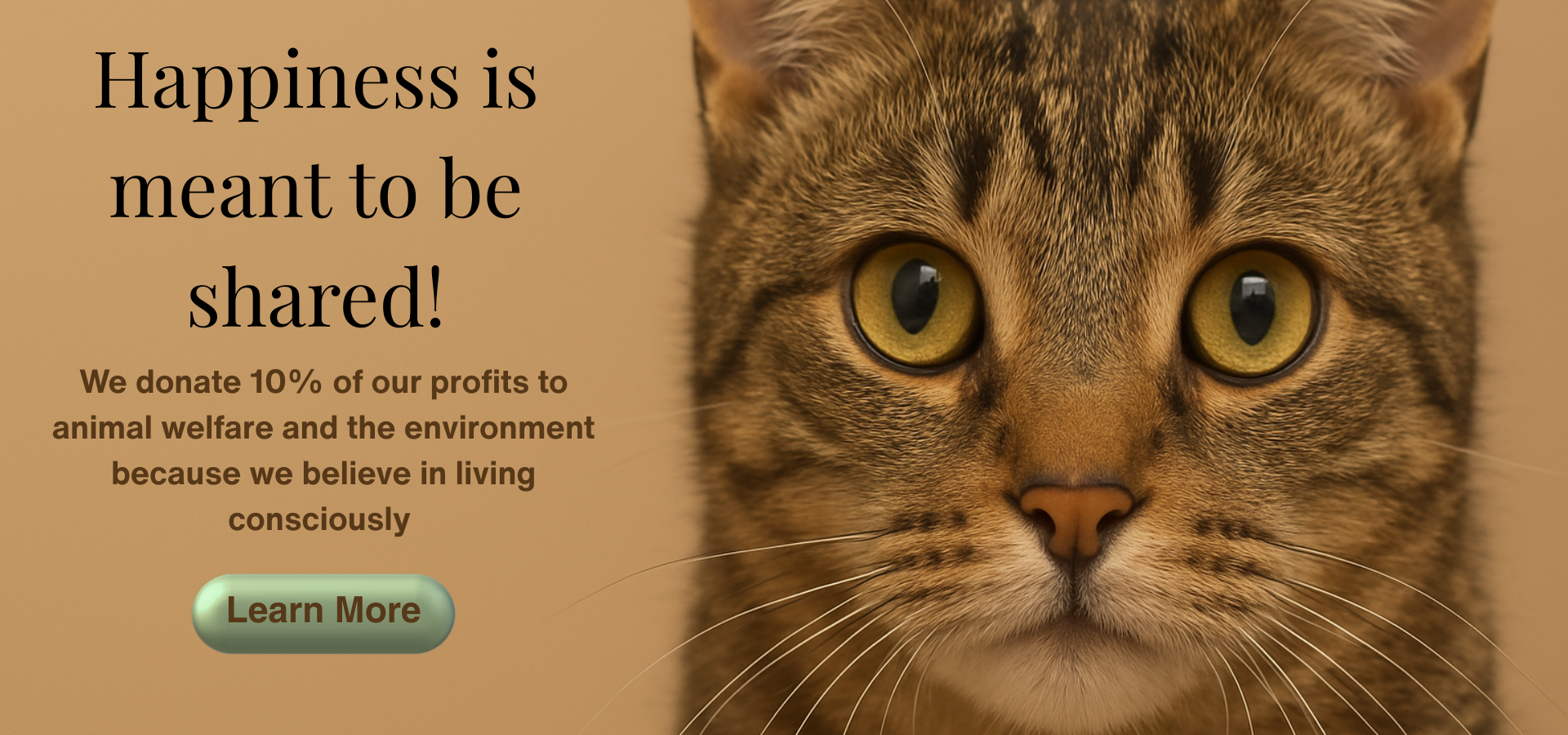 Cat's face with a brown background and text about animal welfare and environment donation.